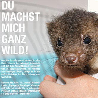 Tierschutzbund Anzeige Wildtierbabies
