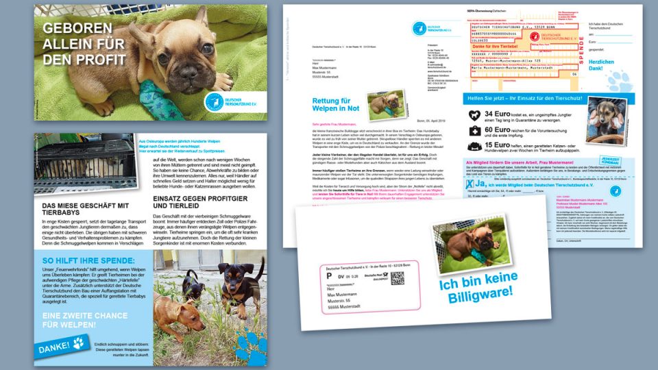 Deutscher Tierschutzbund Mailing